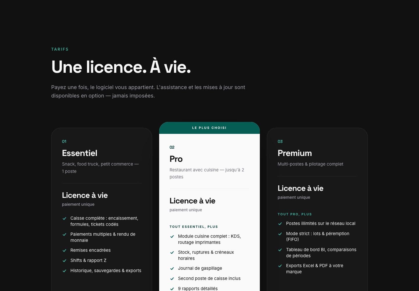 The pricing section with three lifetime licence plans